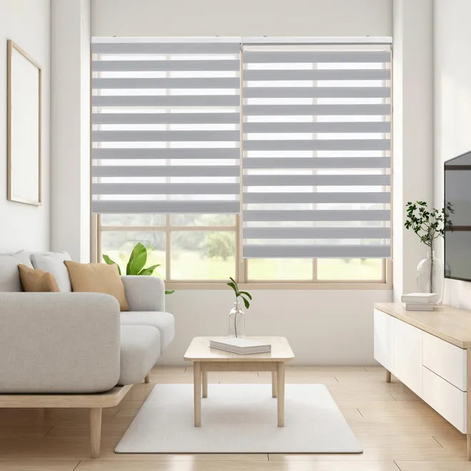 Zebra Blinds
