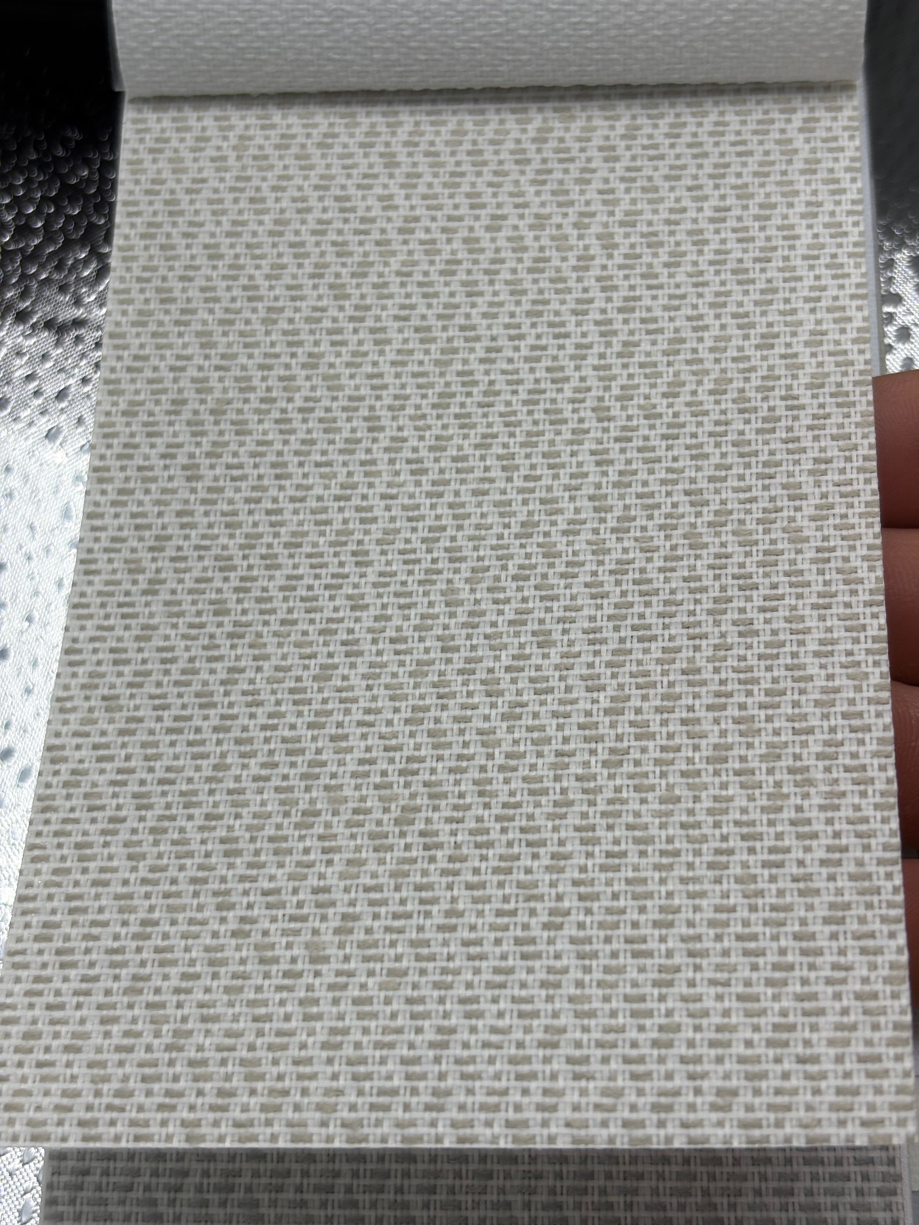 Vertical Blind