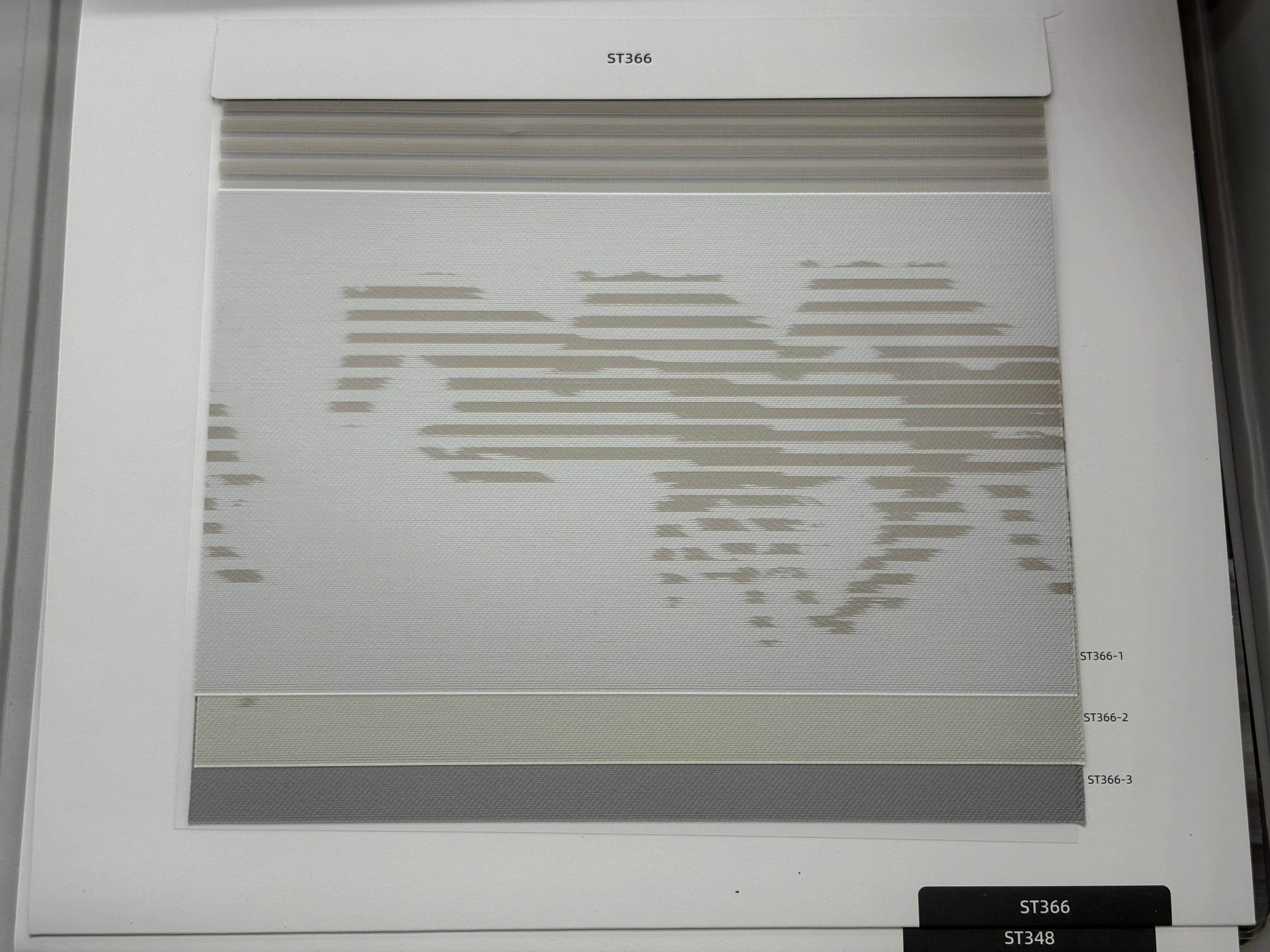 ZEBRA BLIND  & EVIAN BLIND