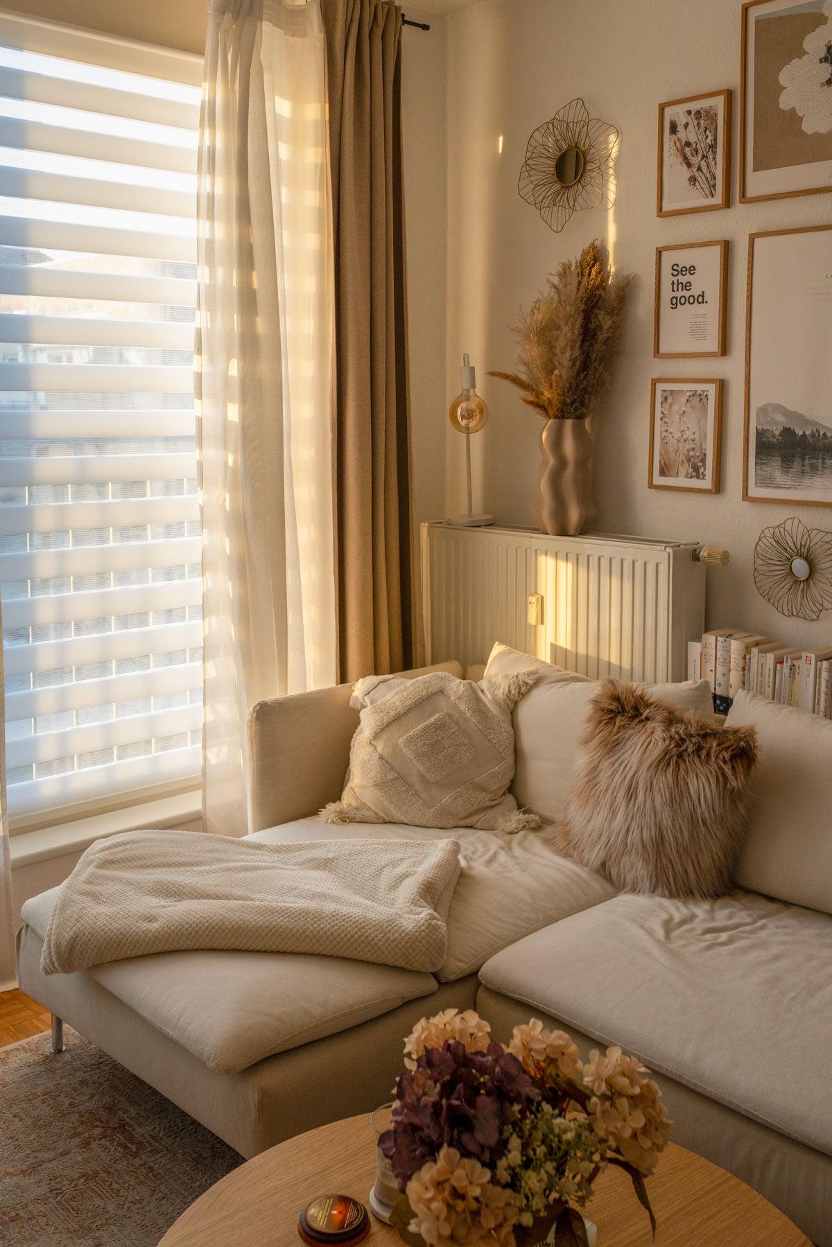 Zebra Blinds