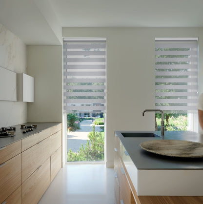 Zebra Blinds