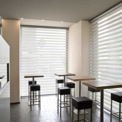 Zebra Blinds