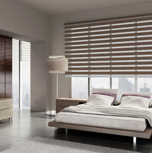 Zebra Blinds