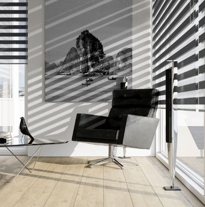 Zebra Blinds