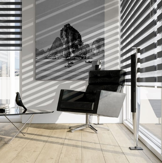 Zebra Blinds