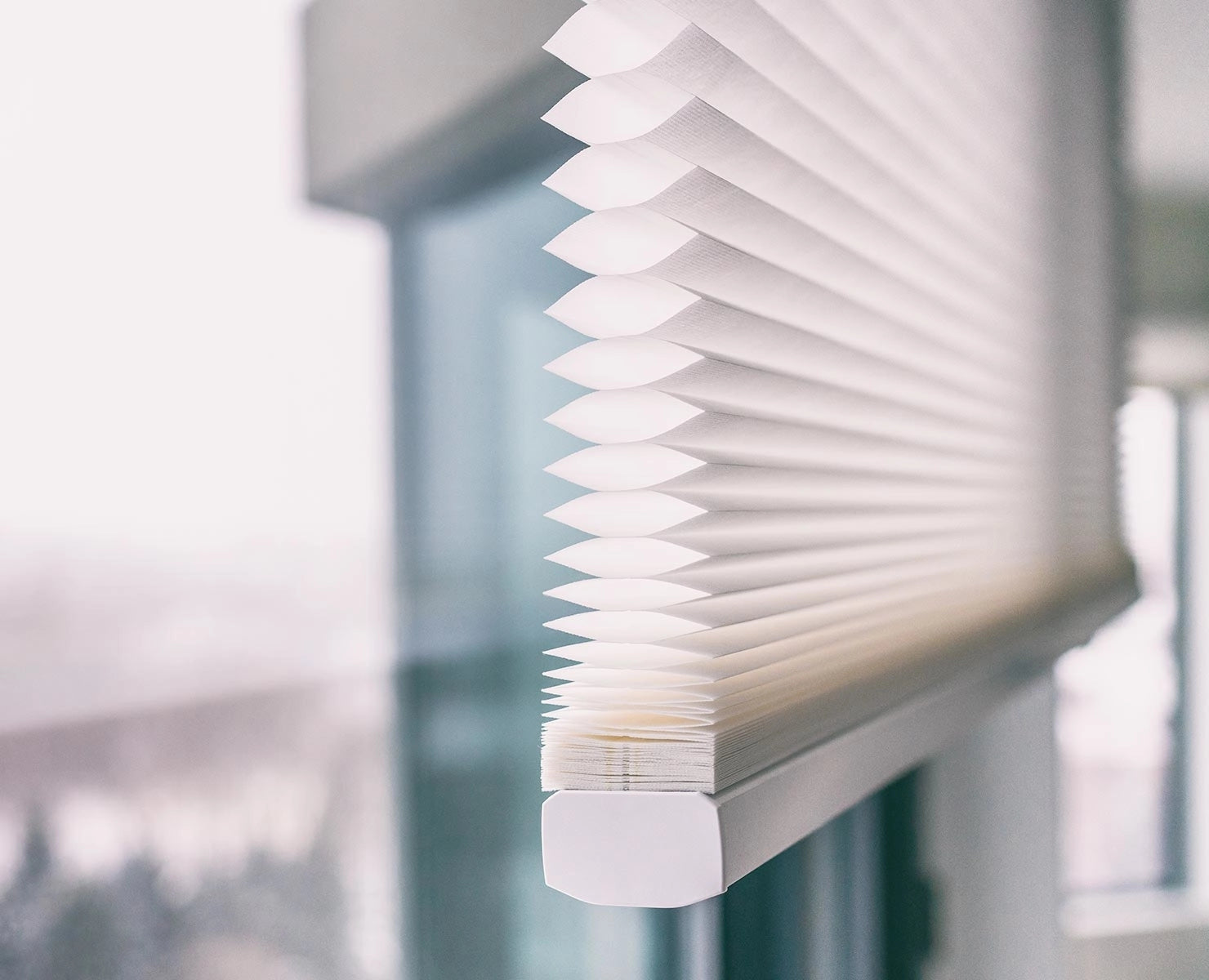 Honeycomb Blinds