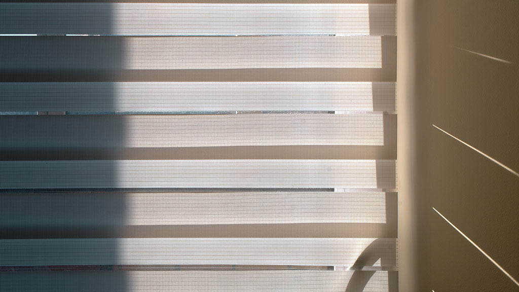 Zebra Blinds