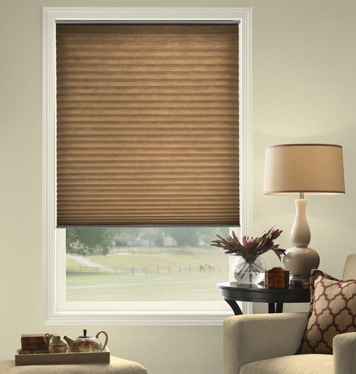 Honeycomb Blinds